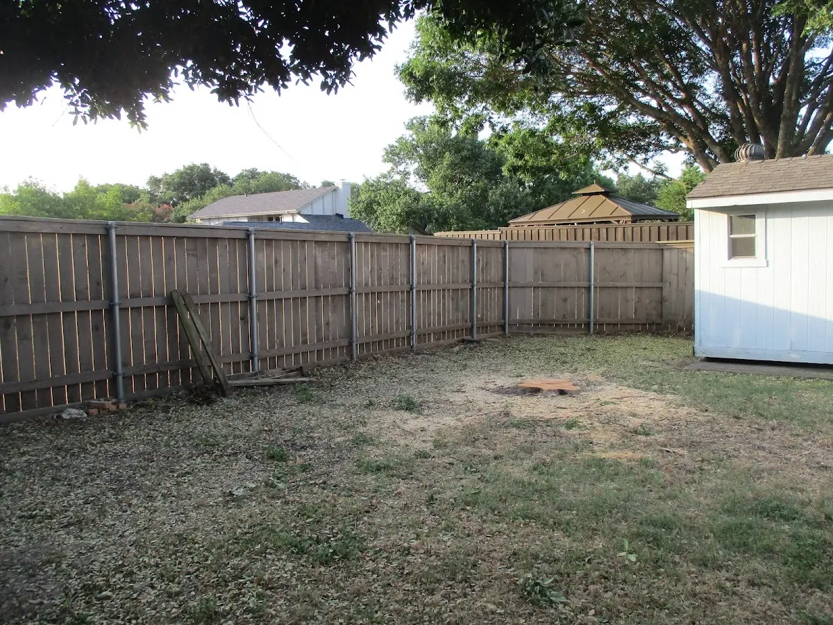Cleared yard after professional tree removal in Lyndon Station